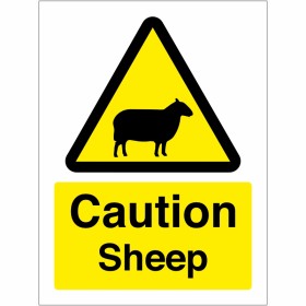 Caution Sheep Sign