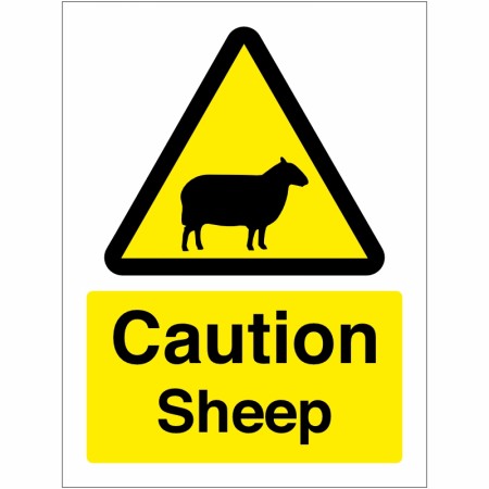 Caution Sheep Sign