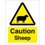 Caution Sheep Sign