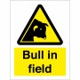 Bull In Field Sign