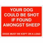 Your Dog Could Be Shot If Found Amongst Sheep Sign