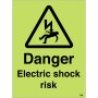 Glow in the Dark Electric Shock Risk Sign