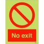 No Exit Photoluminescent Sign