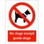 No Dogs Except Guide Dogs Sign