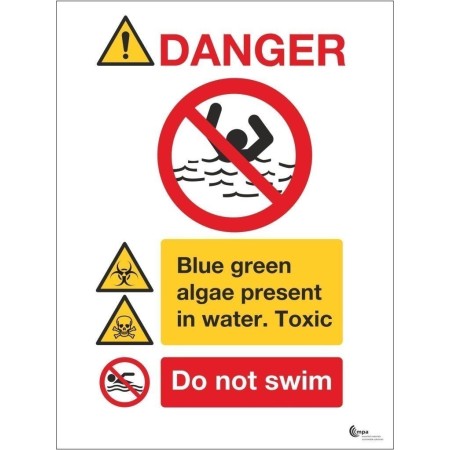 Danger sign warning blue green algae present in water with do not swim symbol