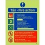 Glow in the Dark 4 Point Fire Action Notice Sign Welsh and English