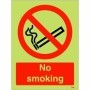 Glow in the dark no smoking prohibition safety sign