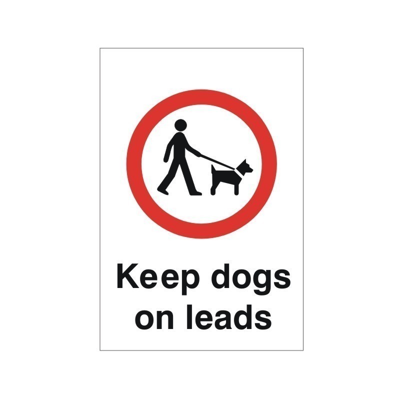 Keep dogs shop on lead