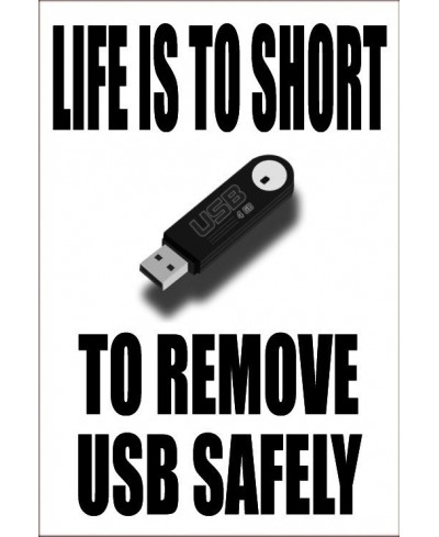 Life Is To Short To Remove USB Safely 200mm x 300mm