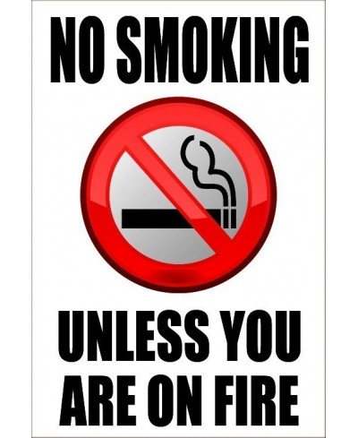 No Smoking Unless You Are On Fire 200mm x 300mm