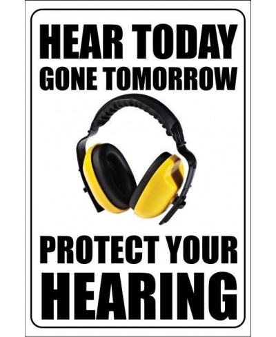 Hear today gone tomorrow poster 400x600mm