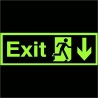 Photoluminescent Exit Arrow Down Sign