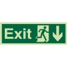 Photoluminescent Exit Arrow Down Sign