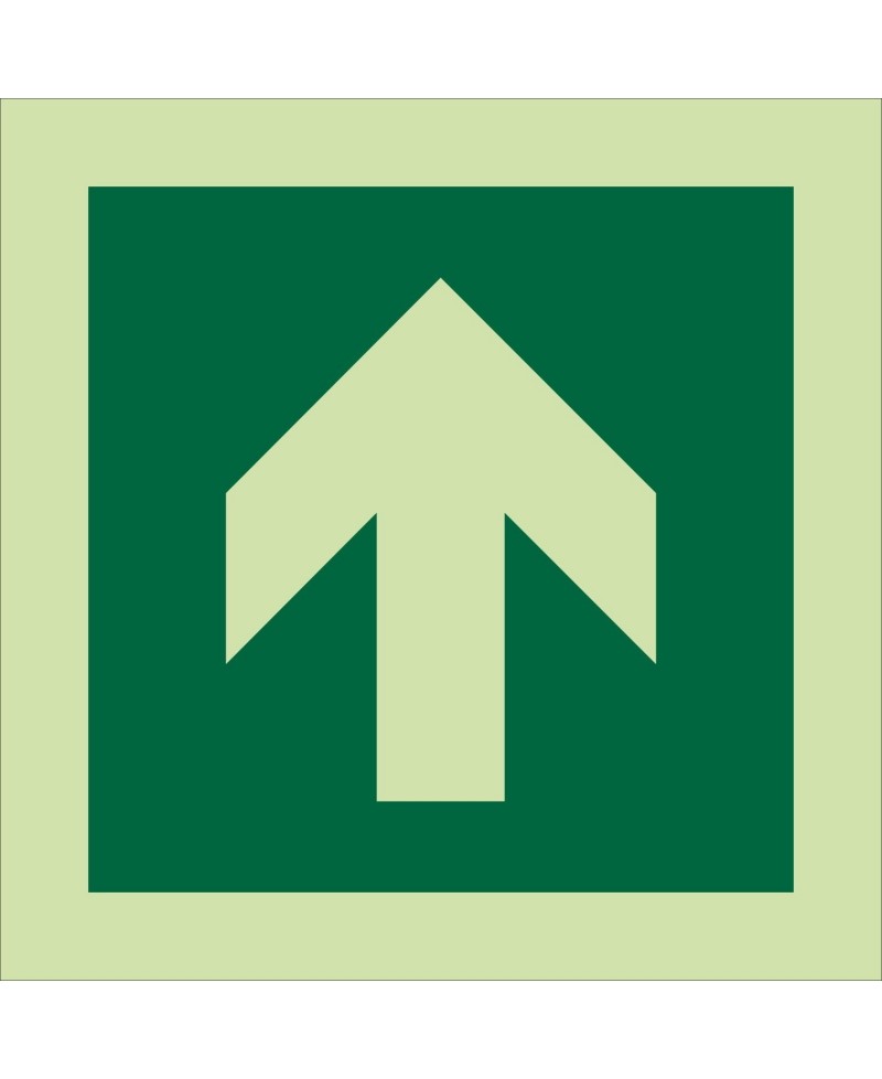 Photoluminescent Arrow Up Symbol Sign