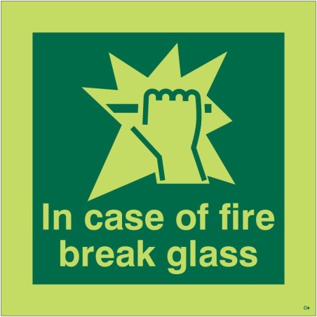 Glow in the Dark In Case Of Fire Break Glass Sign