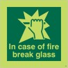 Glow in the Dark In Case Of Fire Break Glass Sign