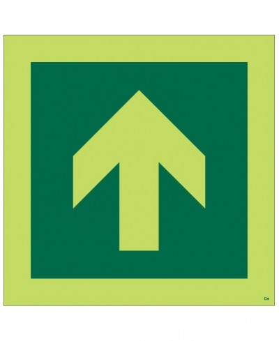 Photoluminescent Arrow Up Symbol Sign