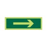 Glow in the Dark Arrow Right Sign