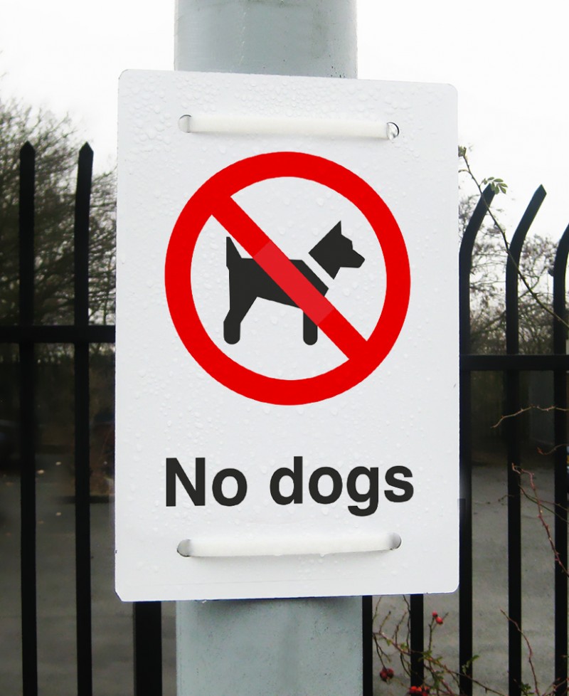 No Dogs Sign