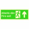 Fire Exit Arrow Up Sign in Welsh / English