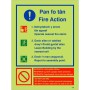 Glow in the Dark 3 Point Fire Action Notice Sign Welsh/English