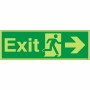 Glow in the Dark Exit Arrow Right Sign