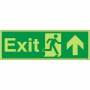 Glow in the Dark Exit Arrow Up Sign
