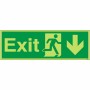 Photoluminescent Exit Arrow Down Sign