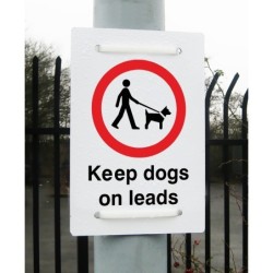 Dog Signs