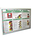 Posters