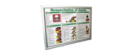 Safety Posters