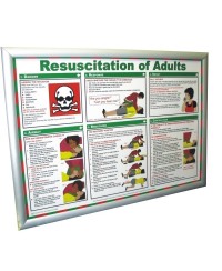 Safety Posters